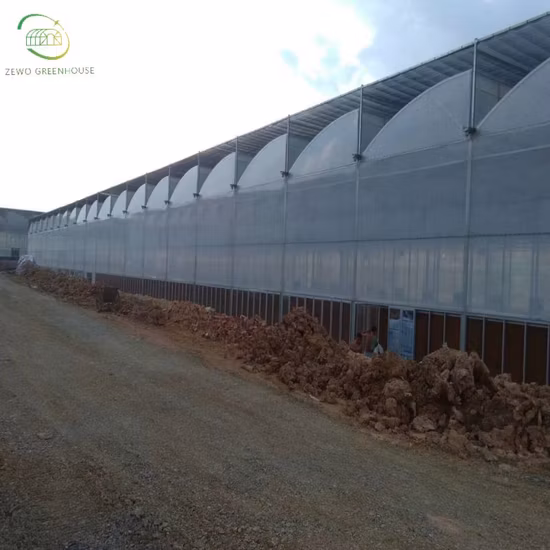 545W High Efficiency Tier 1 Half Cells 144cells 10bb Monocrystaline PV Solar Panel with 182mm Cell